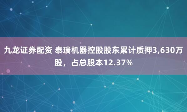 九龙证券配资 泰瑞机器控股股东累计质押3,630万股，占总股本12.37%