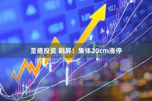 至德投资 刷屏！集体20cm涨停