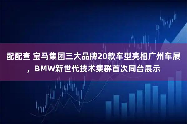 配配查 宝马集团三大品牌20款车型亮相广州车展，BMW新世代技术集群首次同台展示