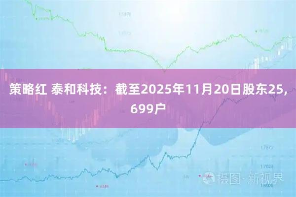 策略红 泰和科技：截至2025年11月20日股东25,699户