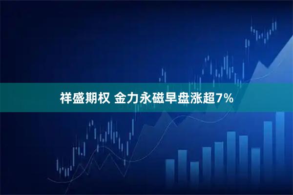 祥盛期权 金力永磁早盘涨超7%