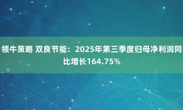 领牛策略 双良节能：2025年第三季度归母净利润同比增长164.75%