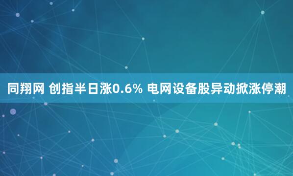 同翔网 创指半日涨0.6% 电网设备股异动掀涨停潮