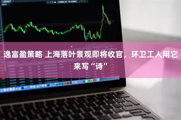 逸富盈策略 上海落叶景观即将收官，环卫工人用它来写“诗”