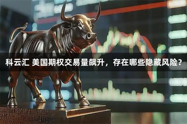 科云汇 美国期权交易量飙升，存在哪些隐藏风险？