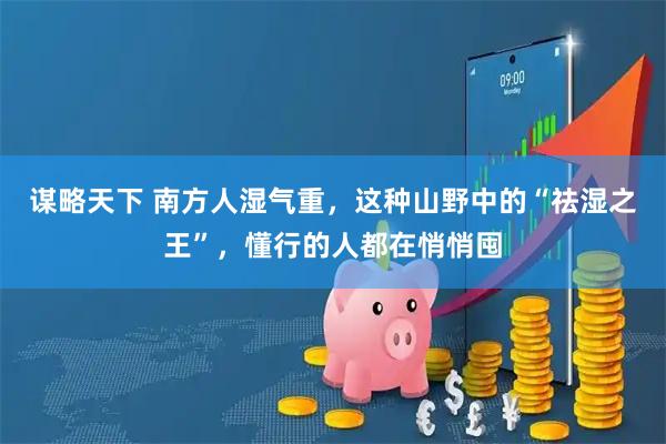 谋略天下 南方人湿气重，这种山野中的“祛湿之王”，懂行的人都在悄悄囤